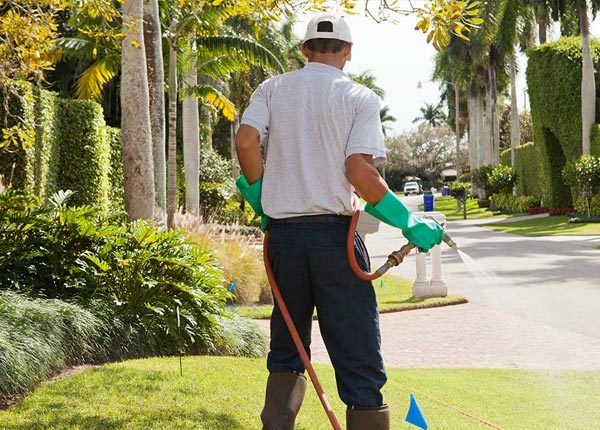 About Sidney NY Pest Control